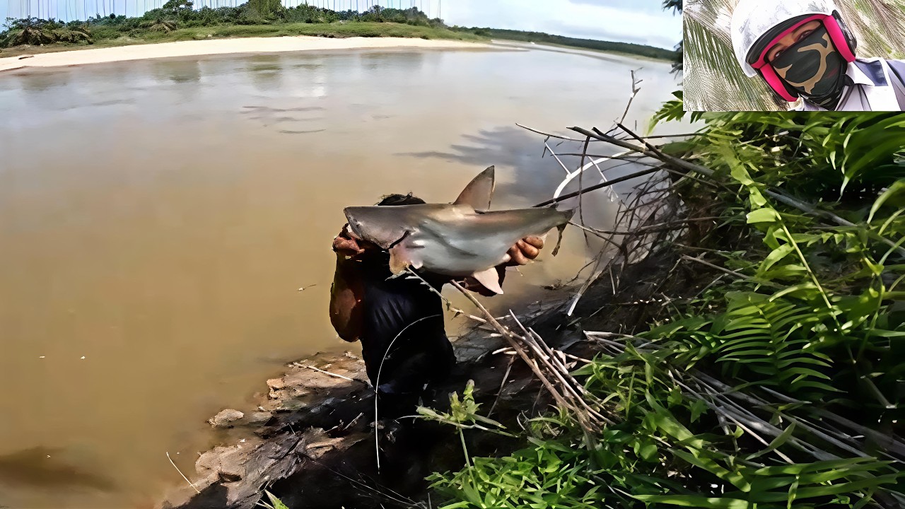 I THOUGHT IT WAS A CROCODILE, BUT TURNED OUT TO BE A 10KG BABON SHARK-LIKE FISH