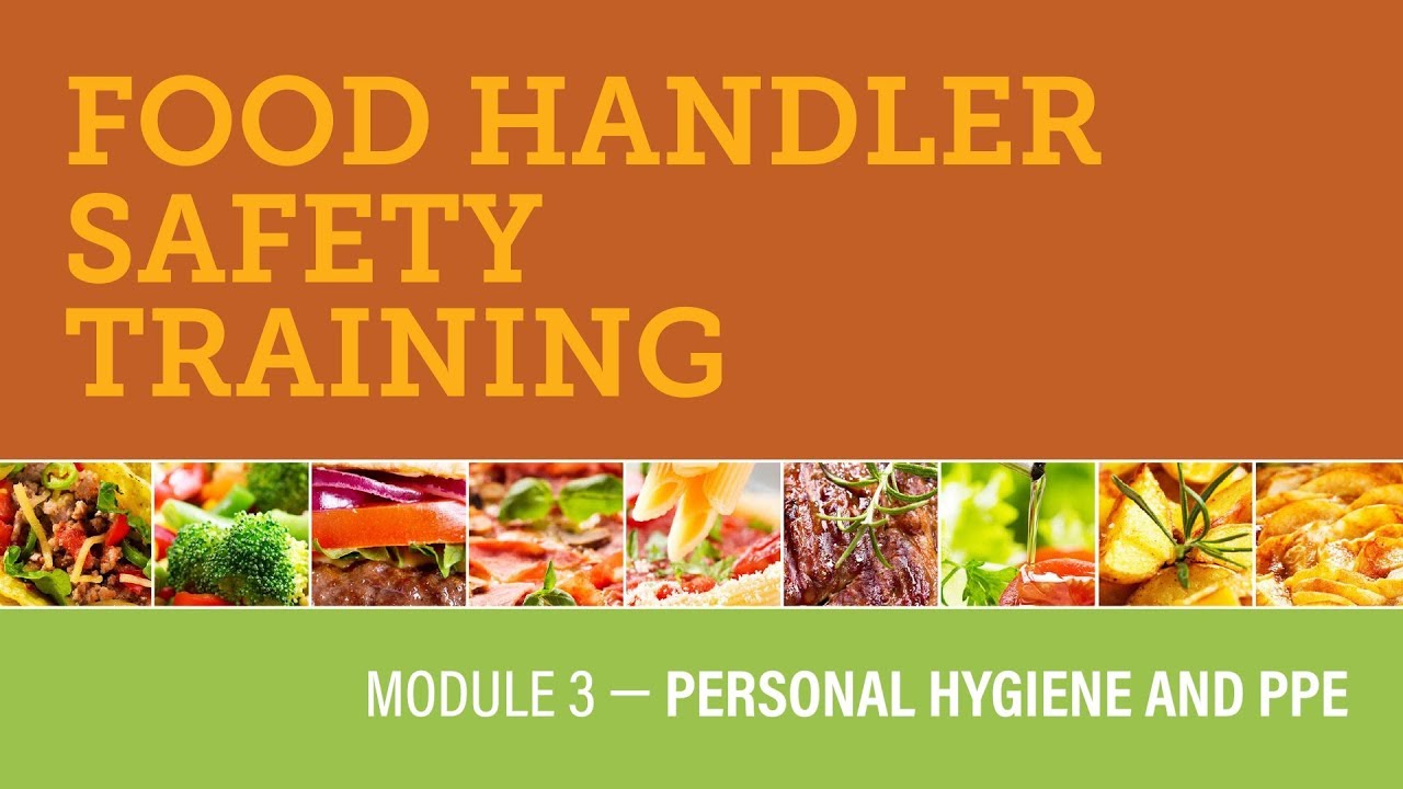 Module 3 &mdash; Personal Hygiene and PPE