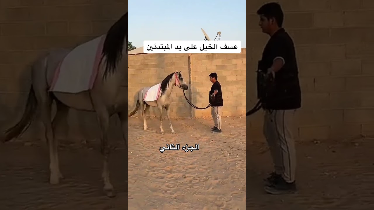 ٣١ ديسمبر، ٢٠٢٤