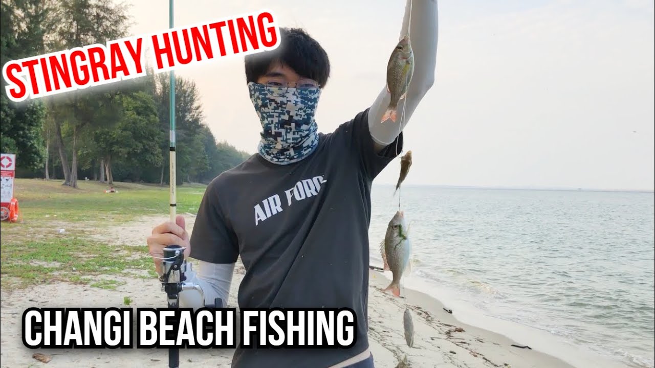 Fishing at Changi Beach | Hunting for Stingrays (Part 4)