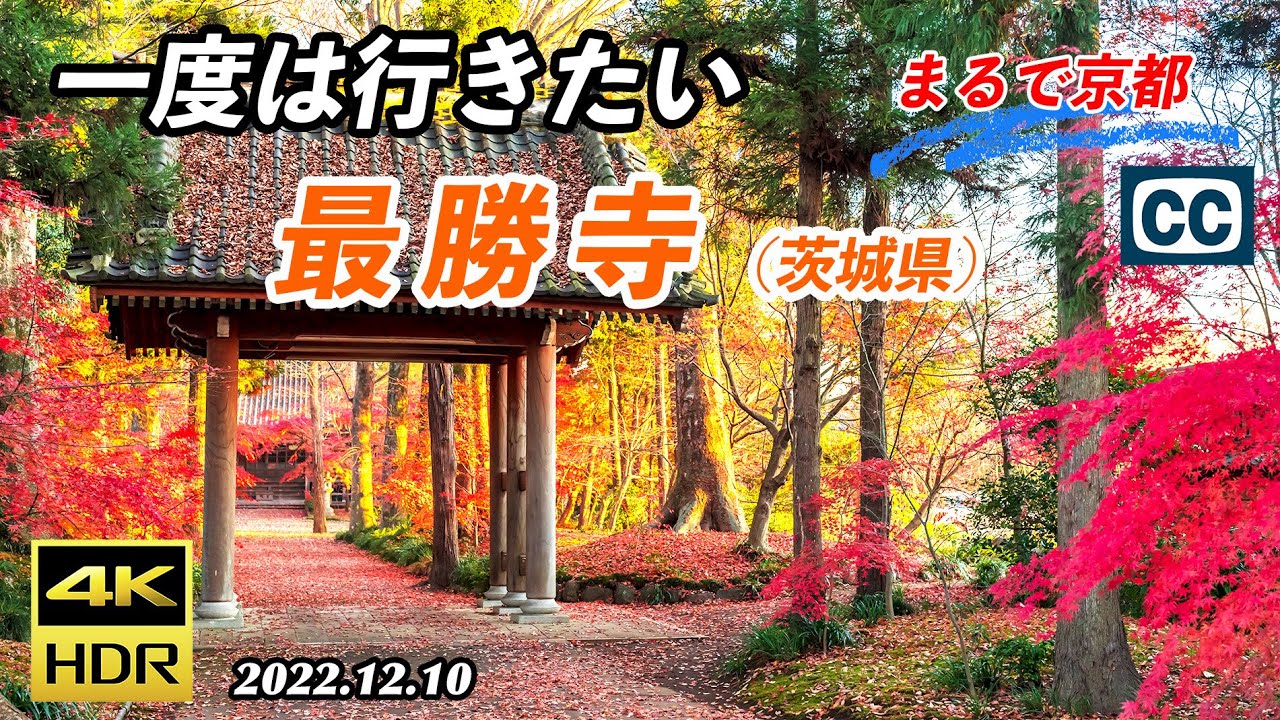 【まるで京都/最勝寺の紅葉/4K HDR】一度は行きたい本気の茨城の絶景/Autumn Leaves of Saishoji Temple like Kyoto/Ibaraki【茨城県筑西市】