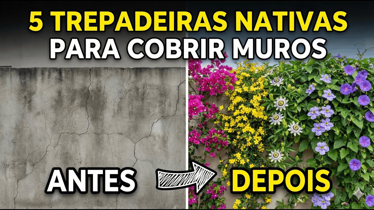 5 Trepadeiras Nativas para Cobrir Muros