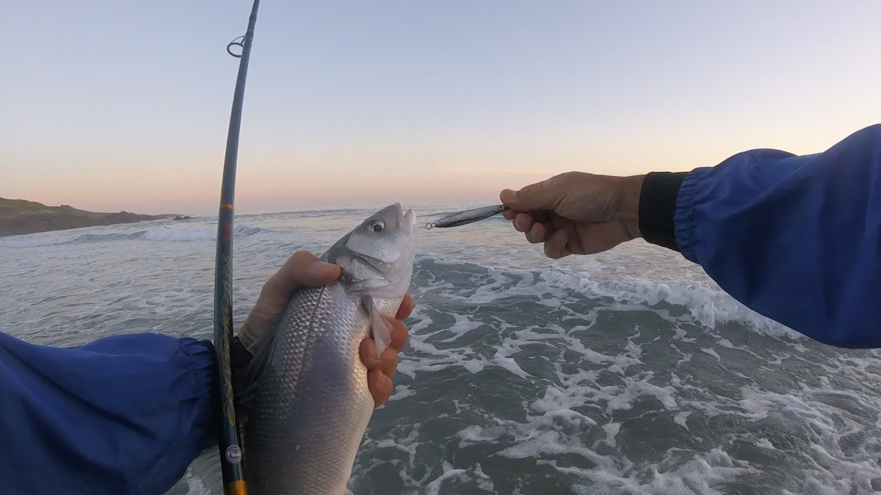 Spinning desde playa con señuelos spanish Lures