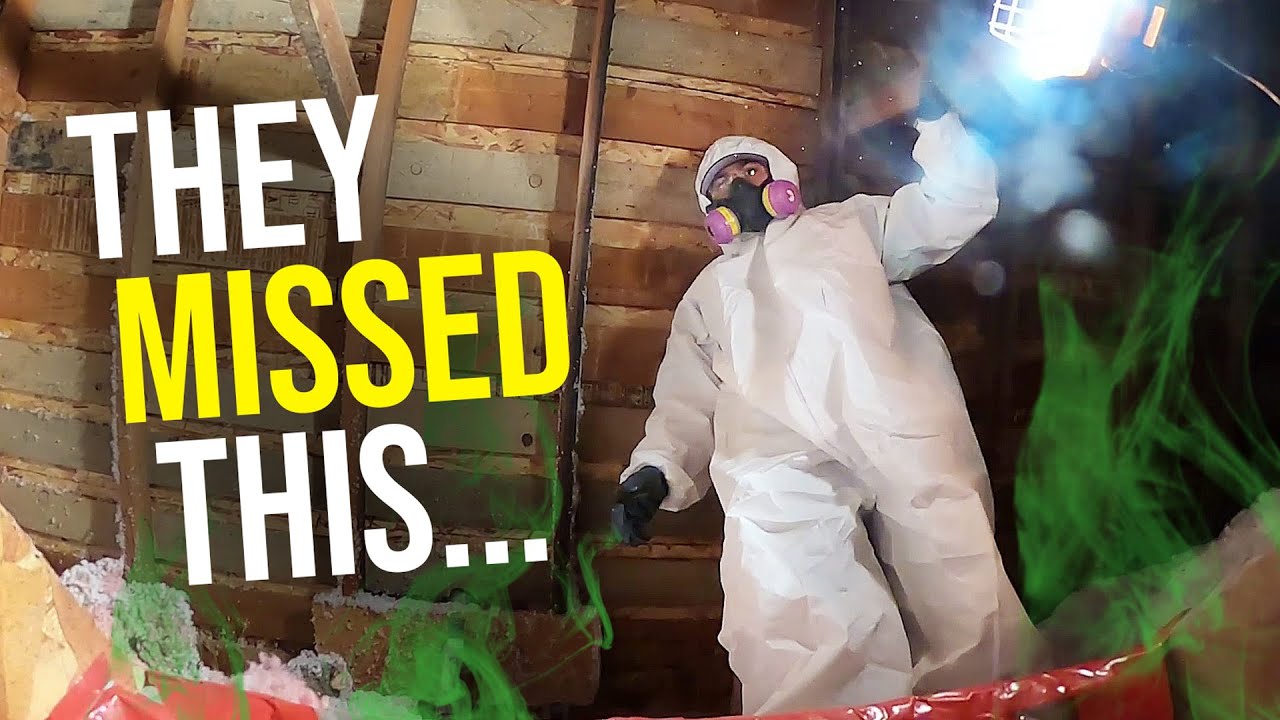 Rodent URINE smell in the ENTIRE attic...(5 exterminators couldn't figure it out)