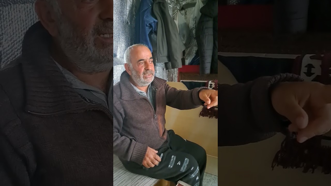 kısaslı araplar nsl meydana geldi