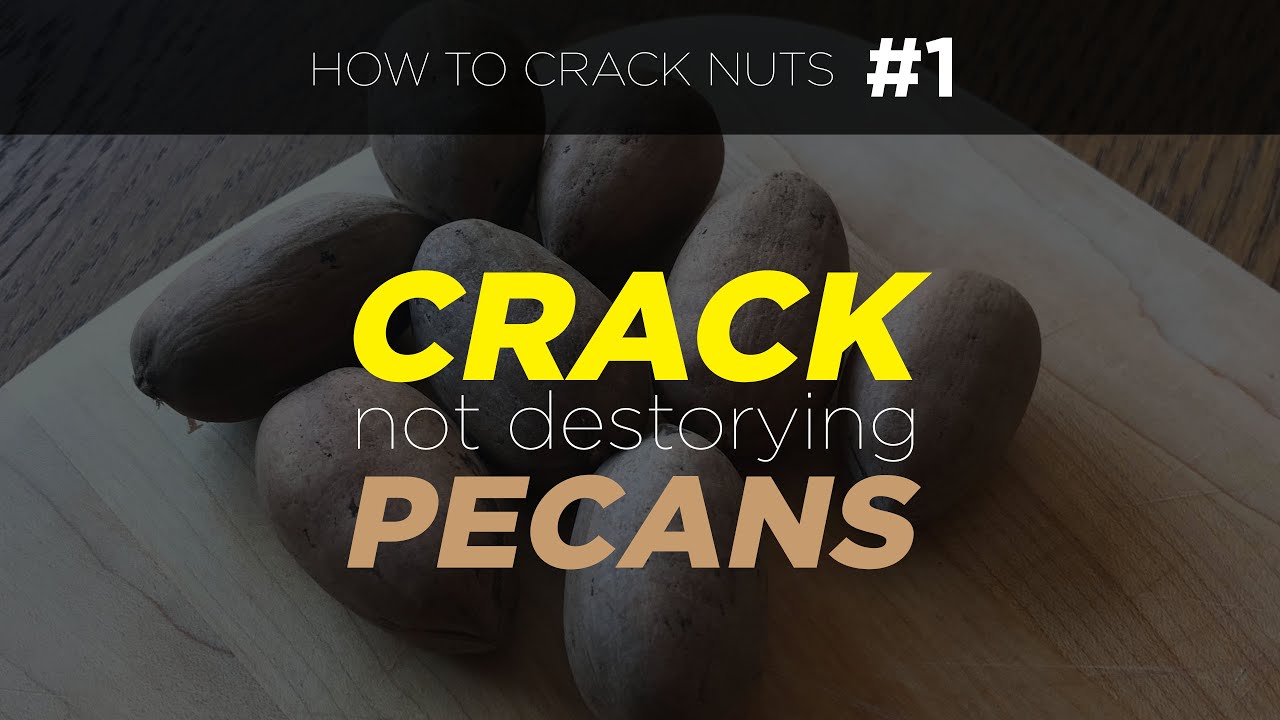 How to Crack Pecan Nut Shells Without Destroying Nuts (How to Crack Nuts #3)