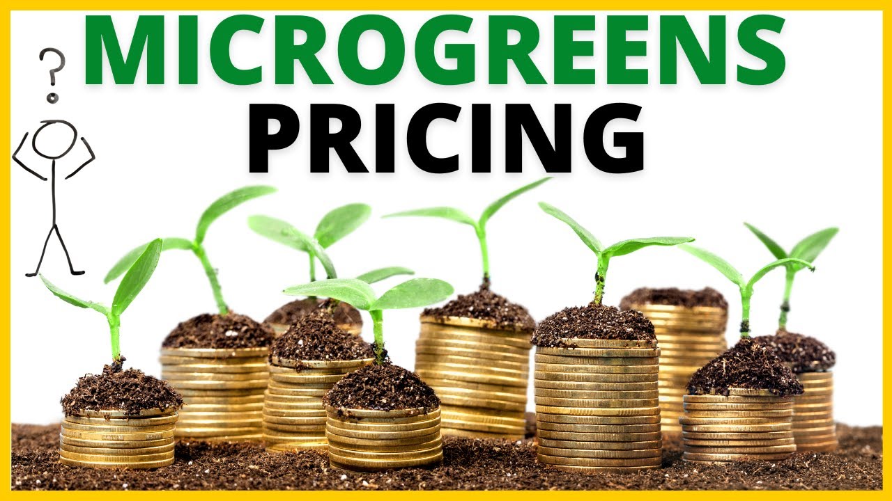 How To Price Your Microgreens
