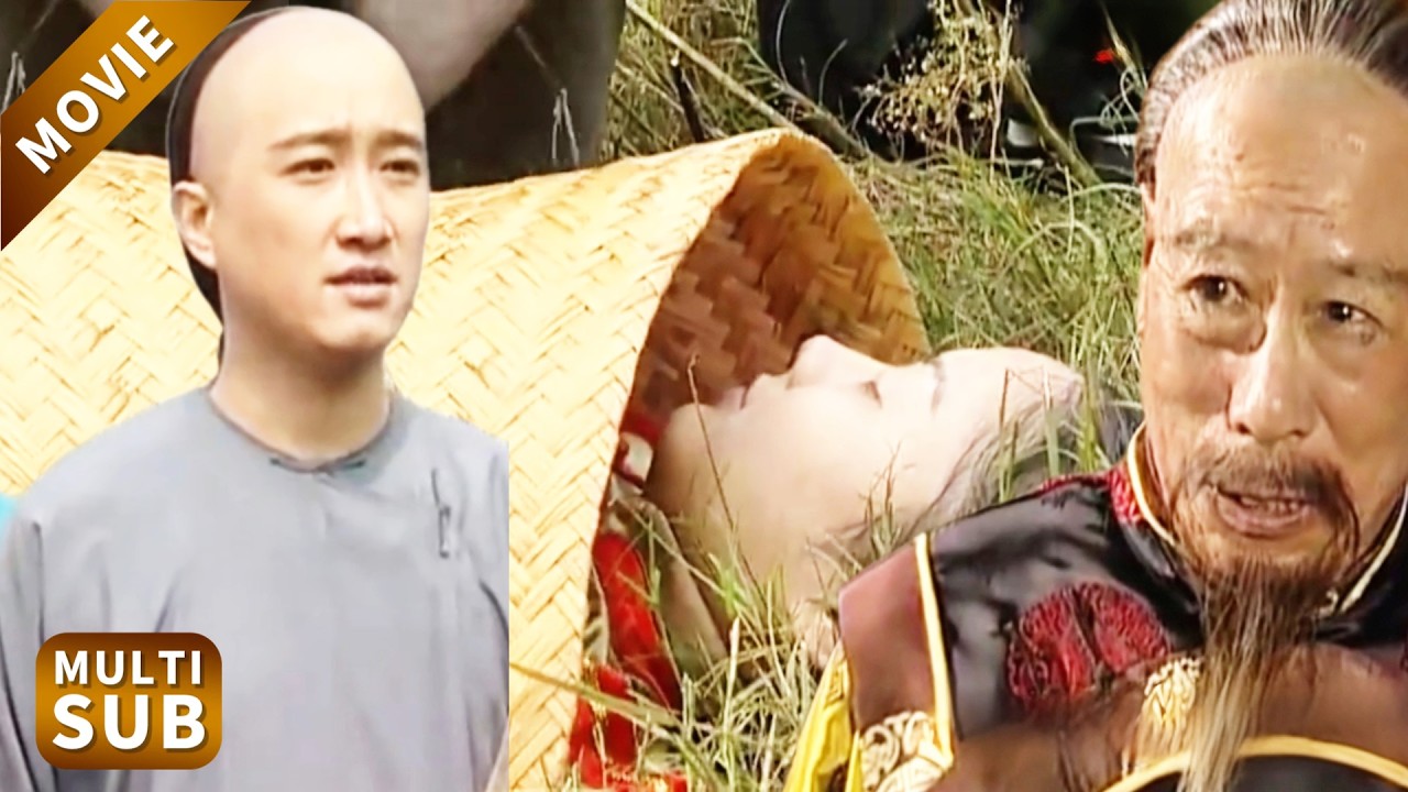 路遇投河慘案，窮秀才心生不忍，憑好口才送惡毒王爺歸西！#经典电影 #張鐵林