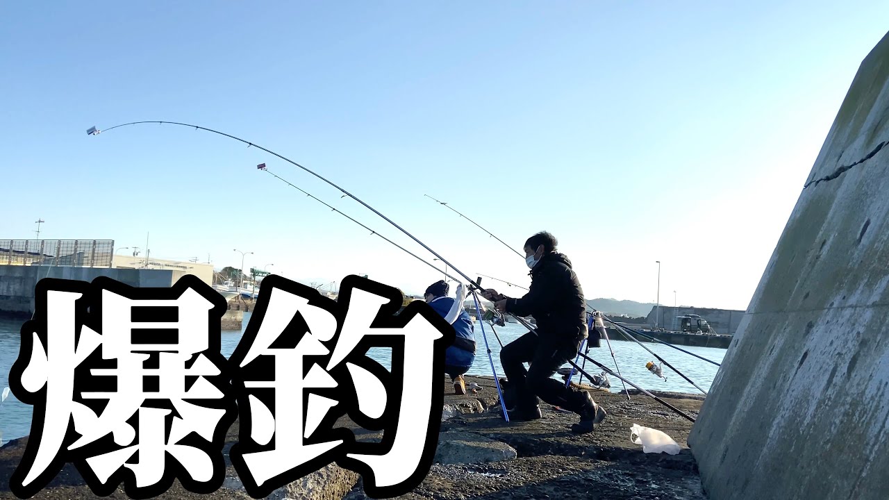 【北海道】【釣り】ちょい投げで超重量級が爆釣