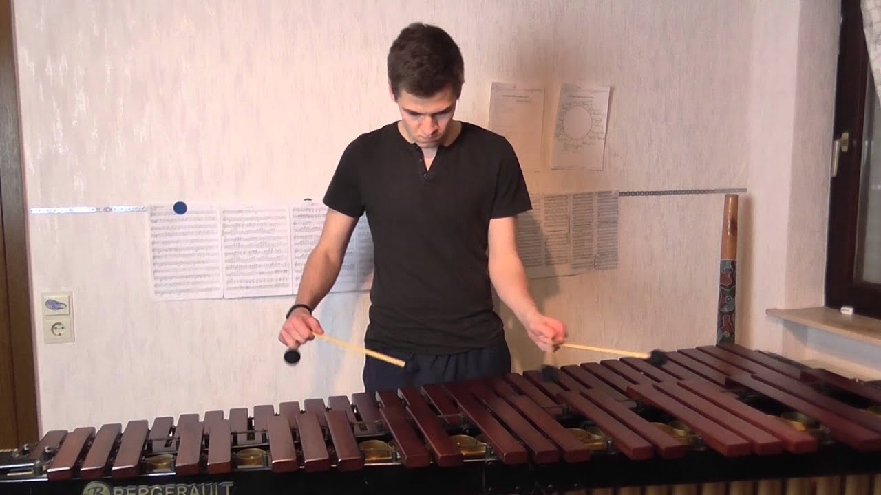 Titanium - David Guetta feat. Sia  -- Marimba Cover