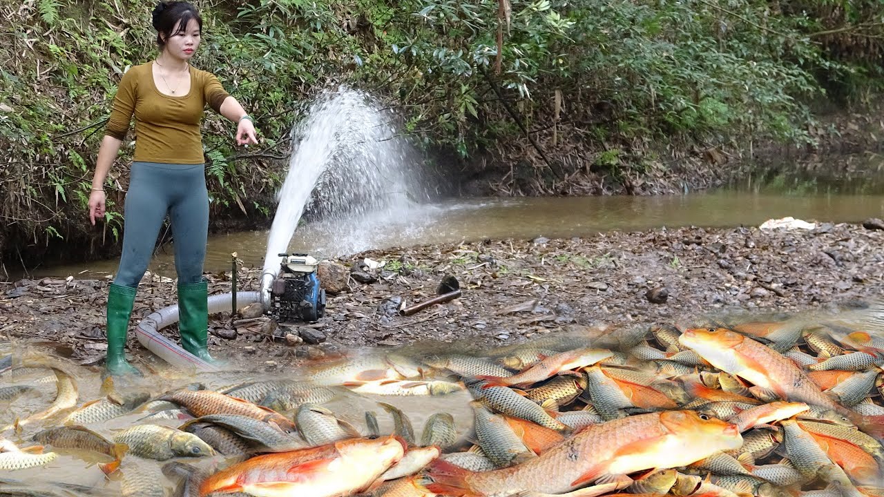 The girl into the woods, catch many fish in a puddle in a dry stream | Amazing fishing