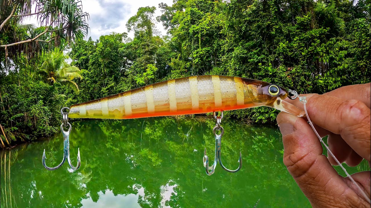Exploring PNG’s UNTAMED Wilderness - Baia Lodge Day 2