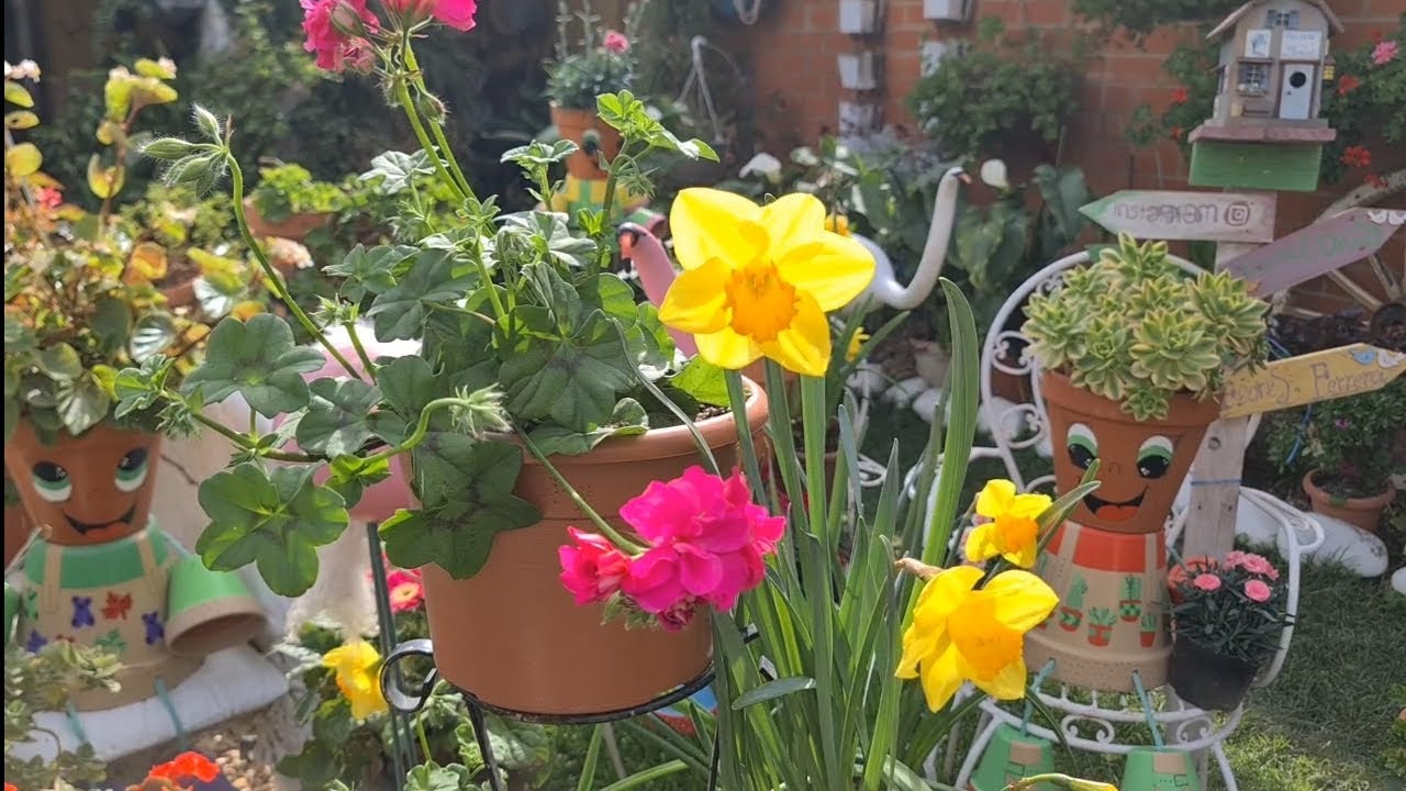Mi jardín dos semanas después de haber abonado para la vegetación 🌹🦅