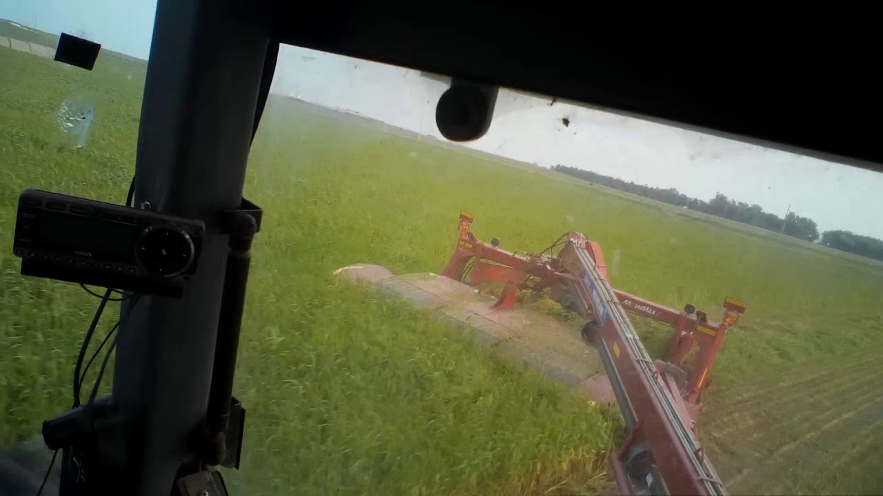 Cutting some German millet with the 316 new holland disc mower