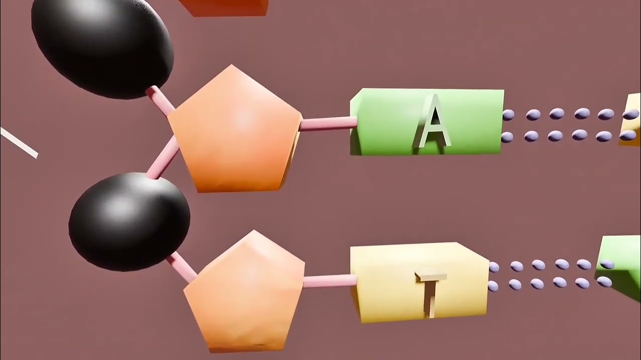 Pasangan Basa Nitrogen di Molekul DNA - Praktikum IMGV 3D 2025