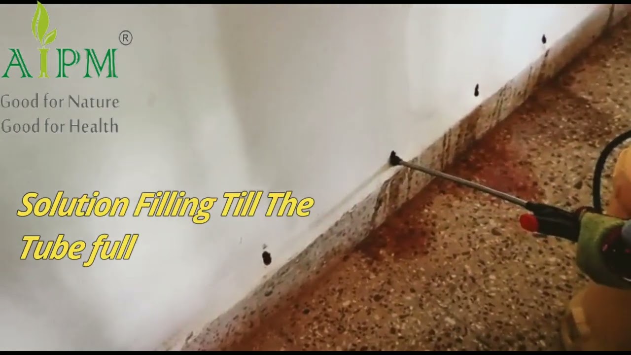 AIPM || Termite Management ||Post- Construction ||