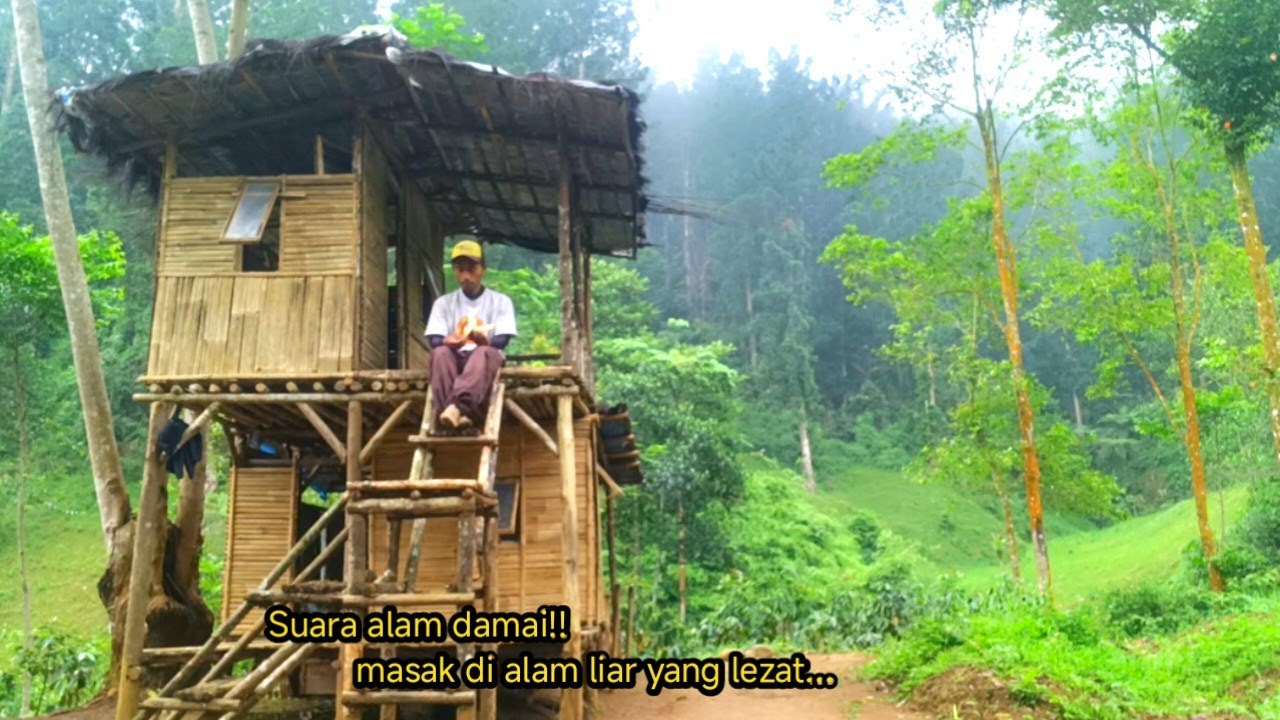 bermalam di alam liar! masak menu lezat di tengah hutan