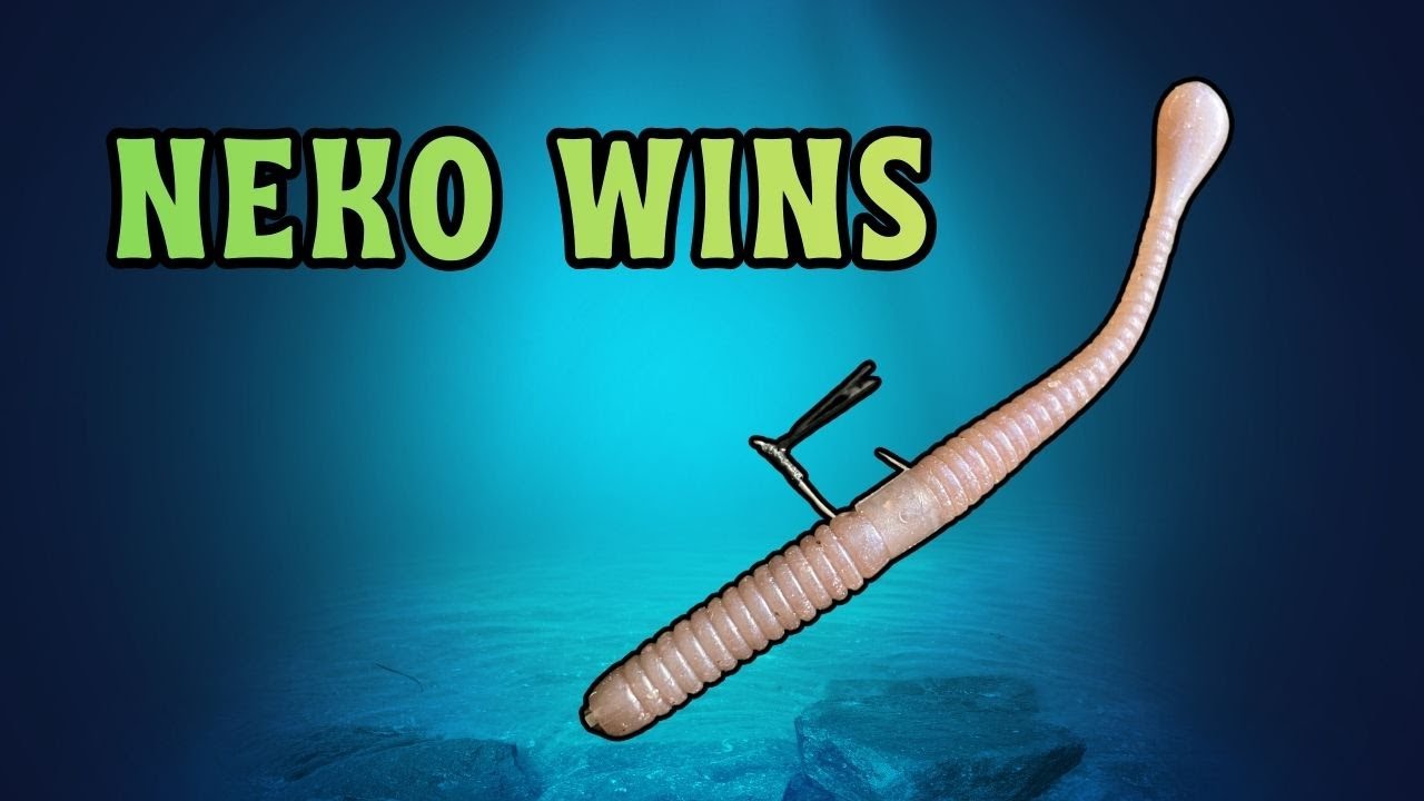 What Bass Want Is Neko – How Japanese Anglers Fish the Neko Rig
