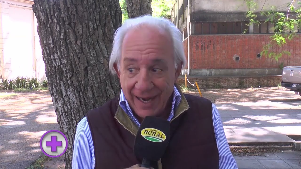 LA FALTA DE OXÍGENO EN EL CABALLO DEPORTIVO POR PROBLEMAS DE LARINGE TIENE SOLUCIÓN QUIRÚRGICA