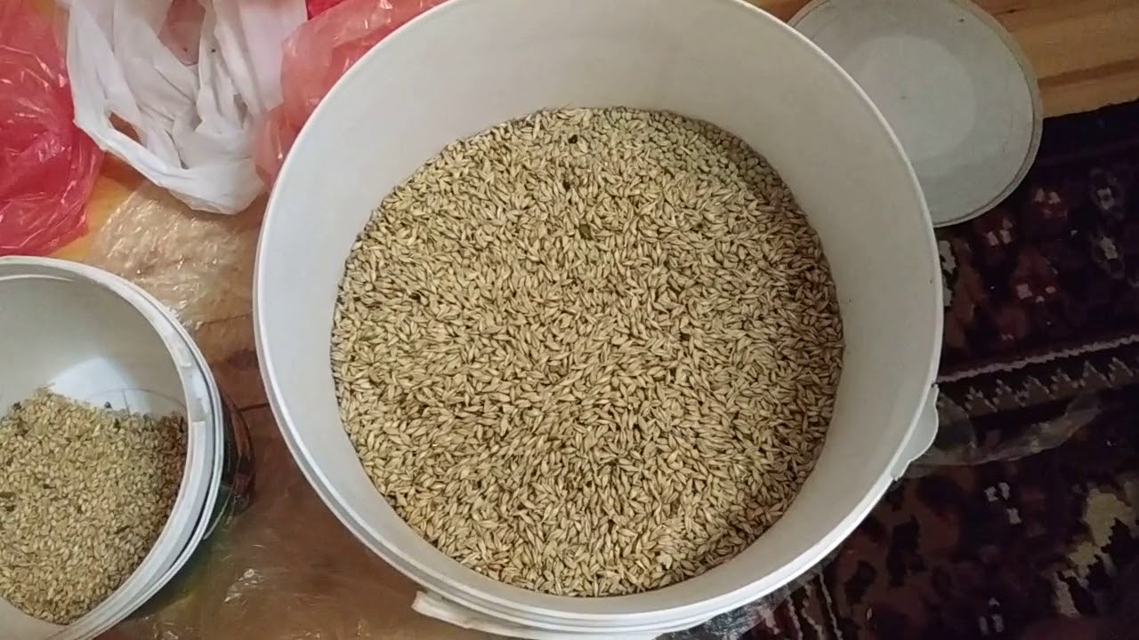 Qarisiq yem nece hazirlanir (vitaminli yem)