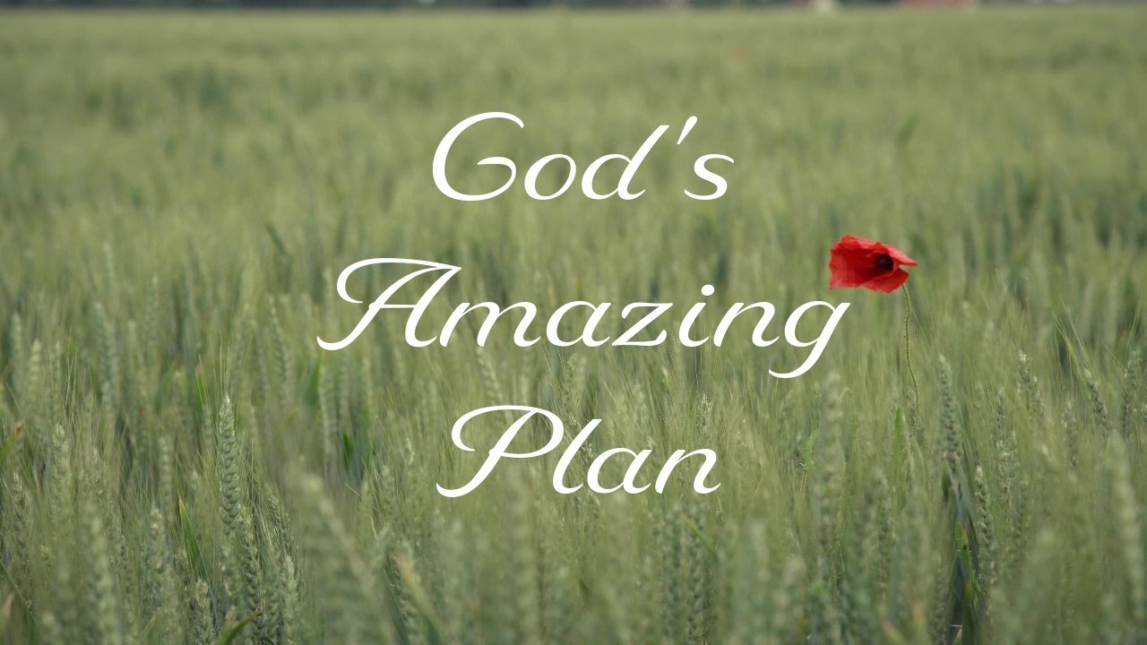 God's Amazing Plan and Grace