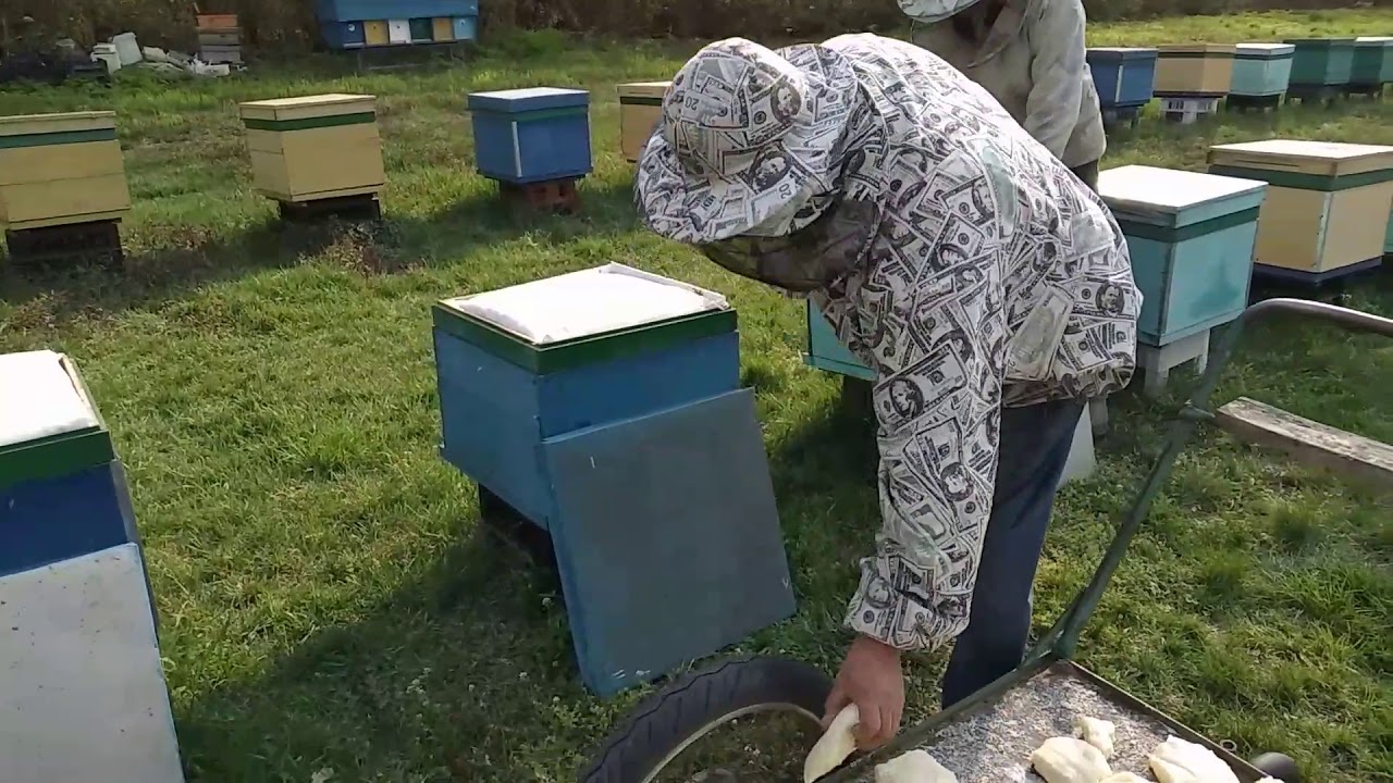 Весенняя подкормка. Дробилка для сахарной пудры