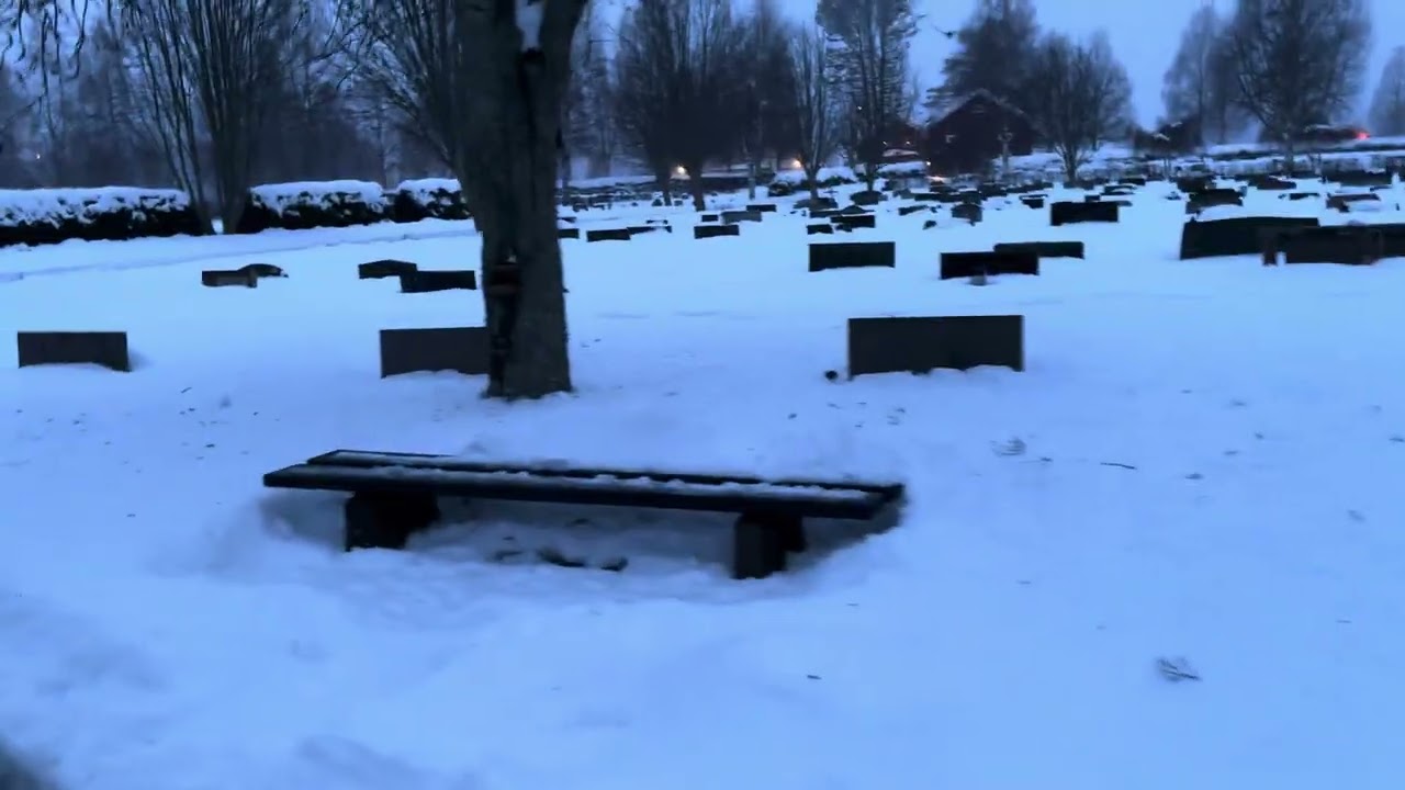 Divagación mental al caminar por un cementerio helado 