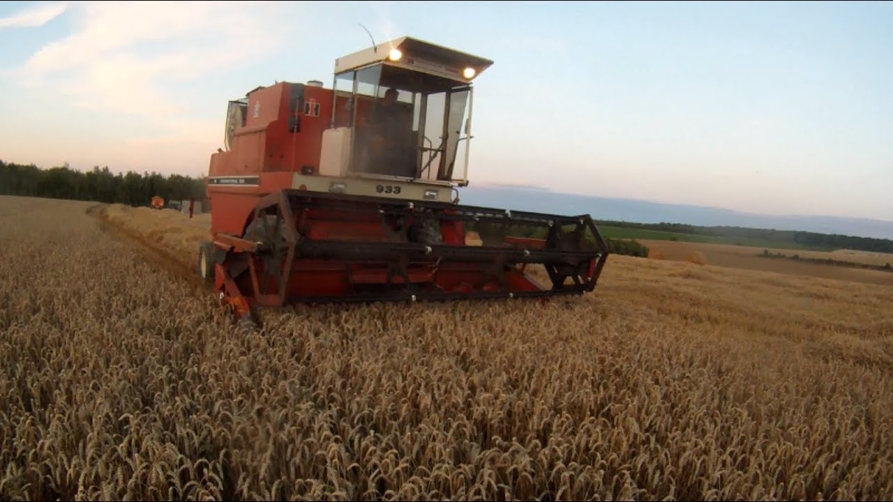 Moisson de blé 2017 [Gopro]