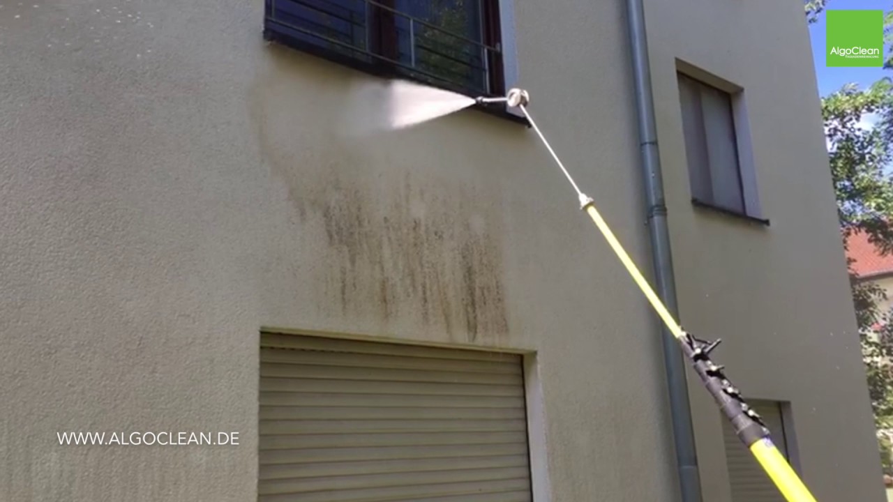 Schwarze Flecken &uuml;ber dem Fenster - Algen und Schimmelentfernung