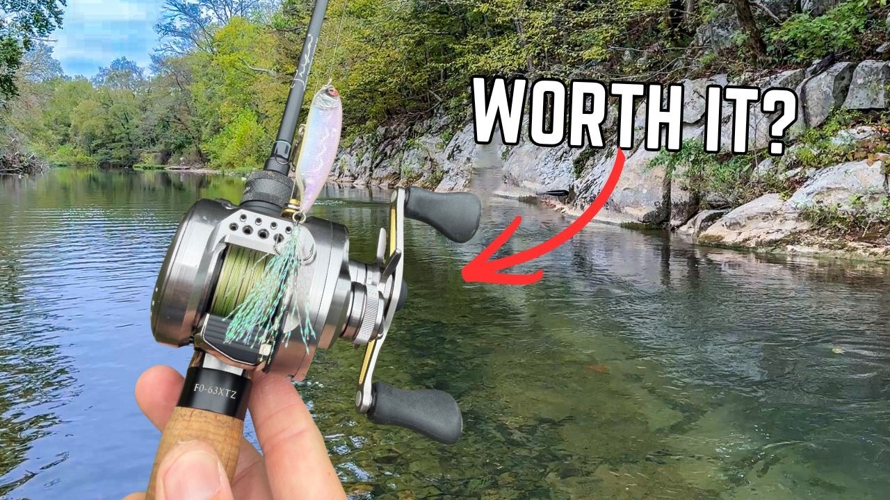 Is This The KING of BFS Reels? (Conquest BFS Review)