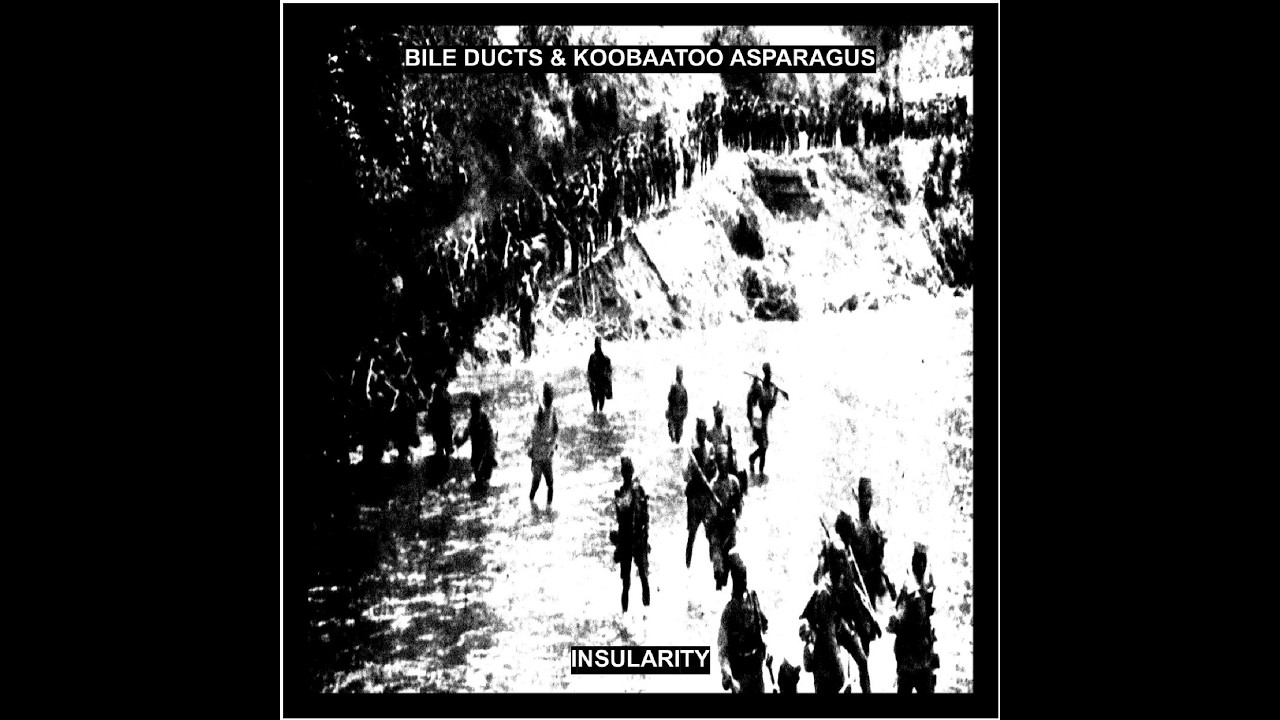 Bile Ducts/Koobaatoo Asparagus - Insularity (2026) - 𝘚𝘱𝘭𝘪𝘵
