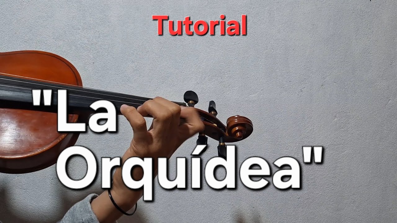 Tutorial de violín | Huapango 