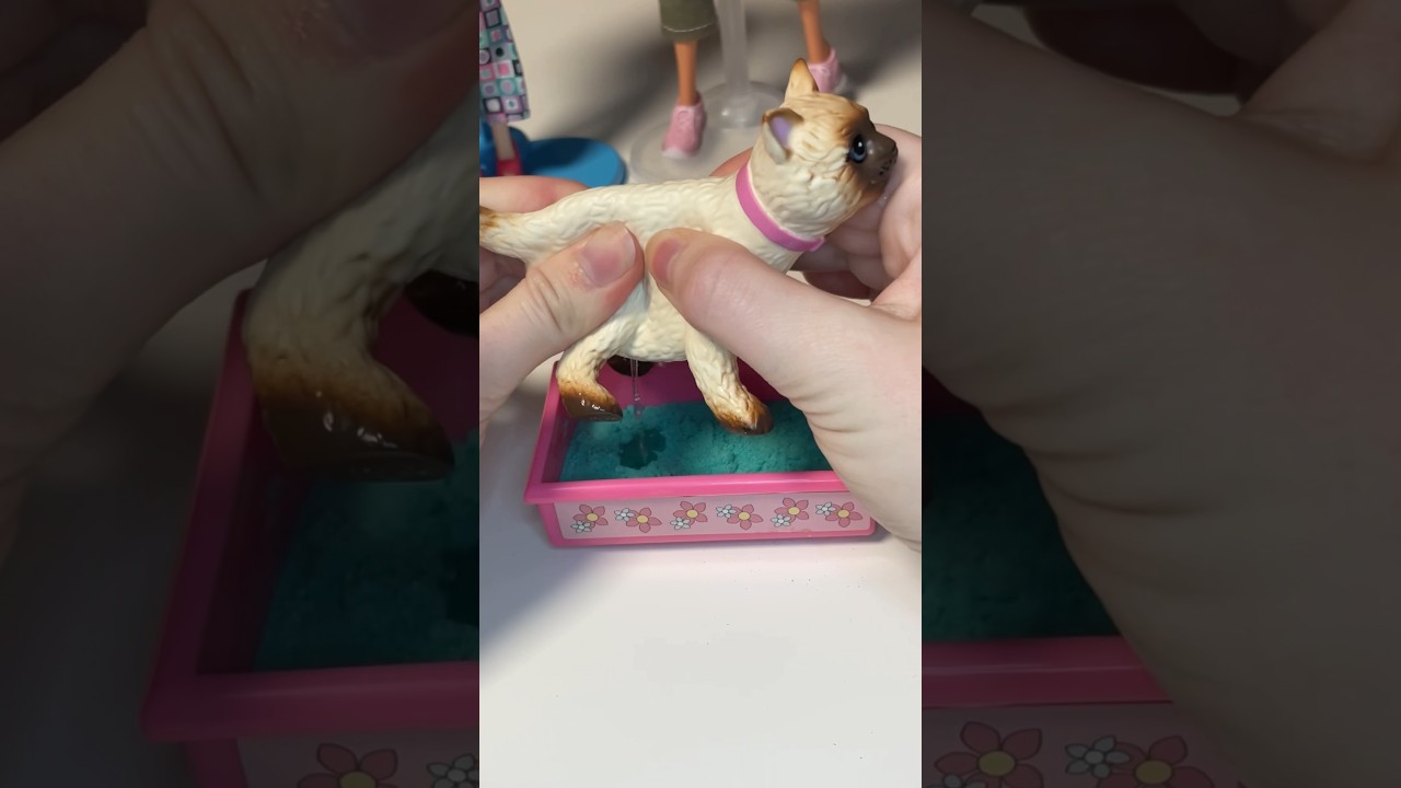 Barbie, cats and the litter box&hellip; (2000&rsquo;s Barbie Kitty Fun and Teresa and Mika dolls)