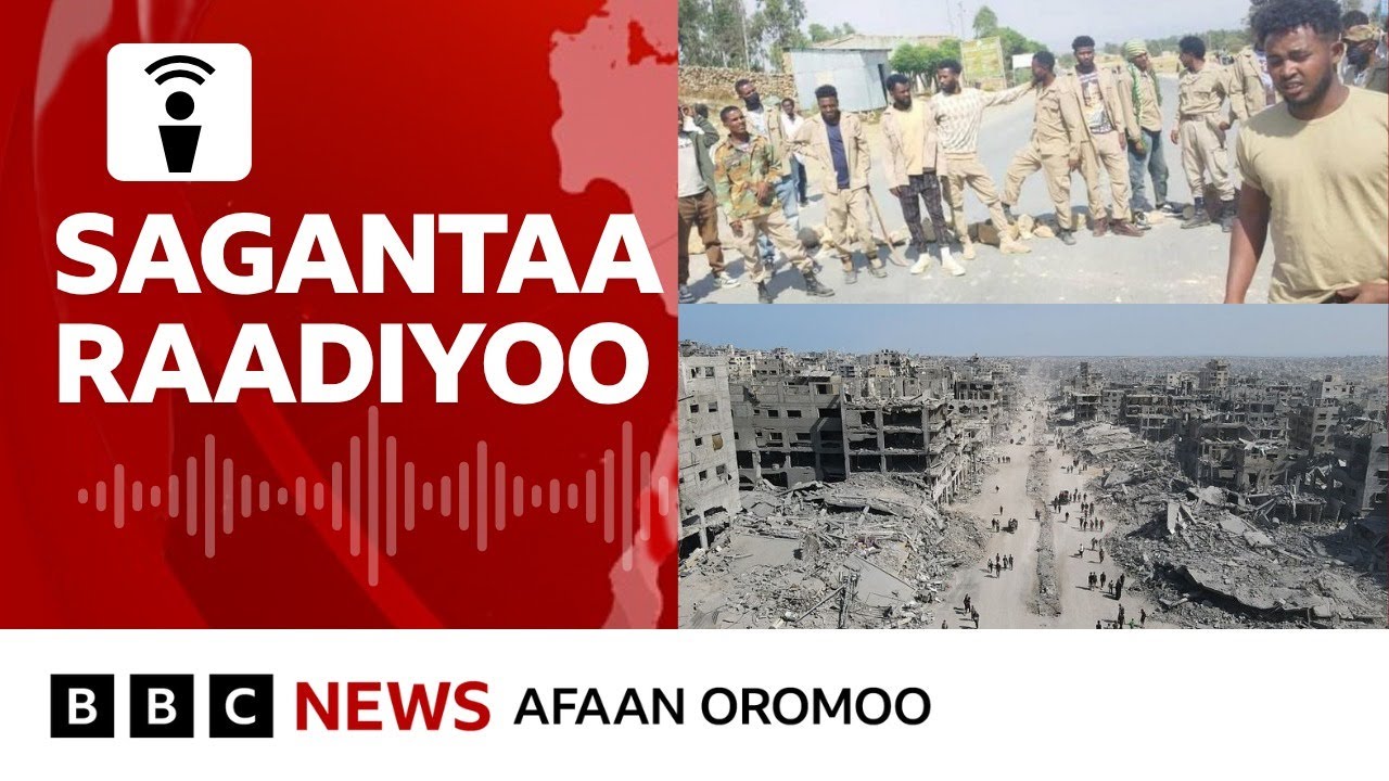 Humnoonni naannoo Somaalee Oromiyaa keessatti miidhaa qaqqabsiisu|BBC News Afaan Oromoo