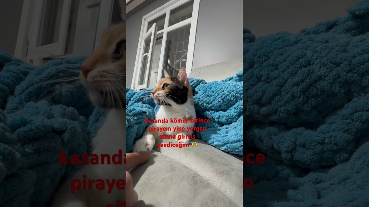 #süperteşekkür
