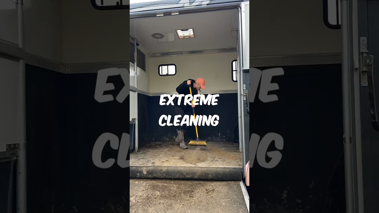 Extreme Cleaning  #horse #equestrian #beckyhill