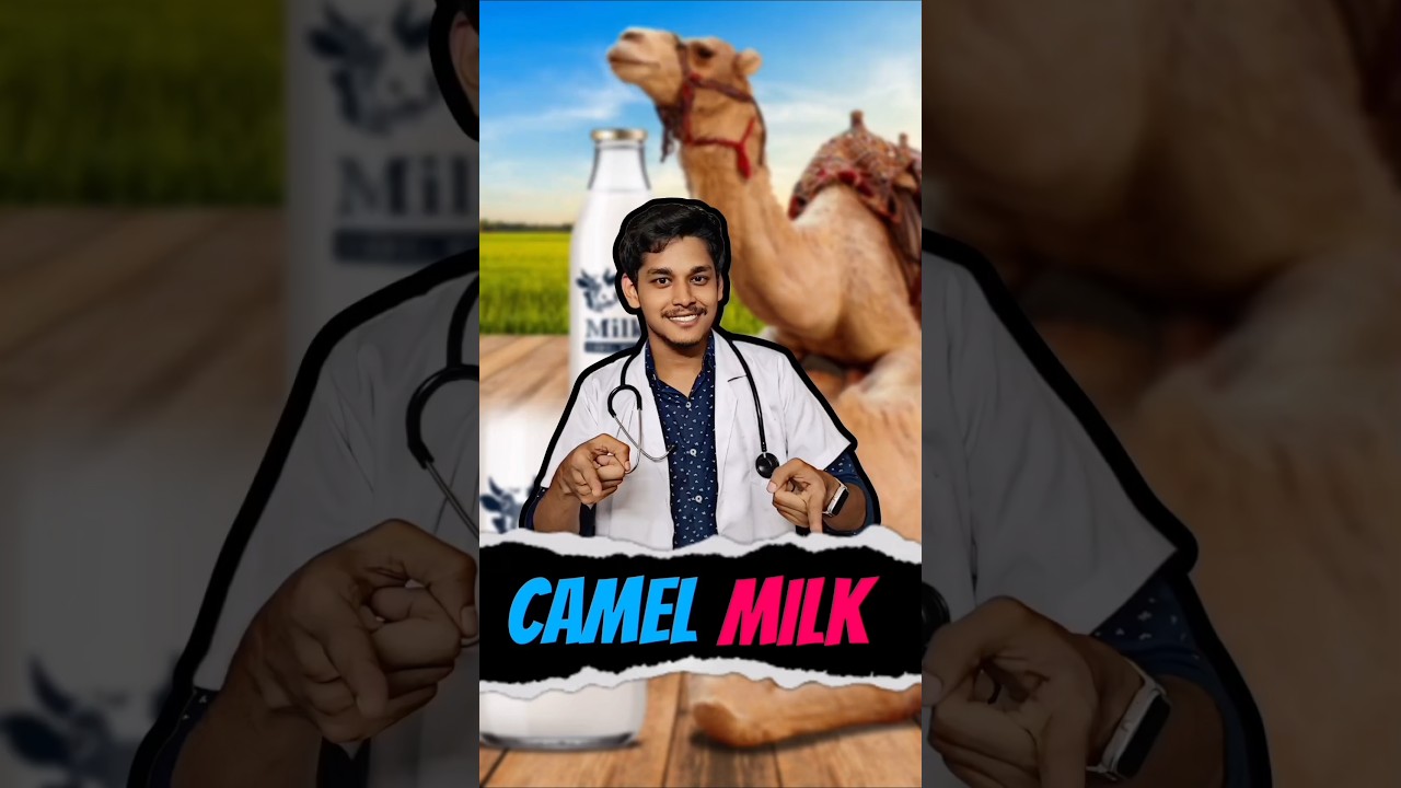 ஒட்டக பாலின் நன்மைகள் 🐪 | Camel Milk Nutrition 🥛#cancer #camelmilk