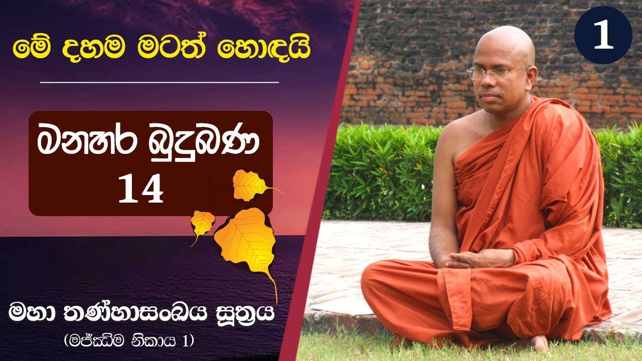 භවයෙන් භවයට සැරිසරා යන්නේ එකම විඤ්ඤාණයක් ද? | මහා තණ්හාසංඛය සූත්‍රය - 1 කොටස