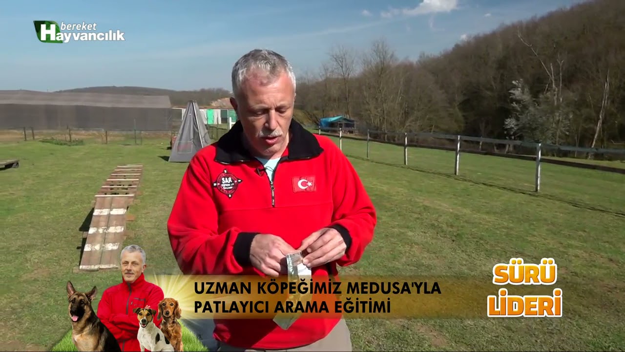PATLAYICI KOPEGİ EGITIMI KOKU TANITIMI