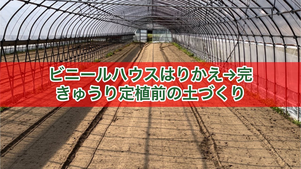 【ビニールハウス張り替え】完成、きゅうり定植前の土づくり