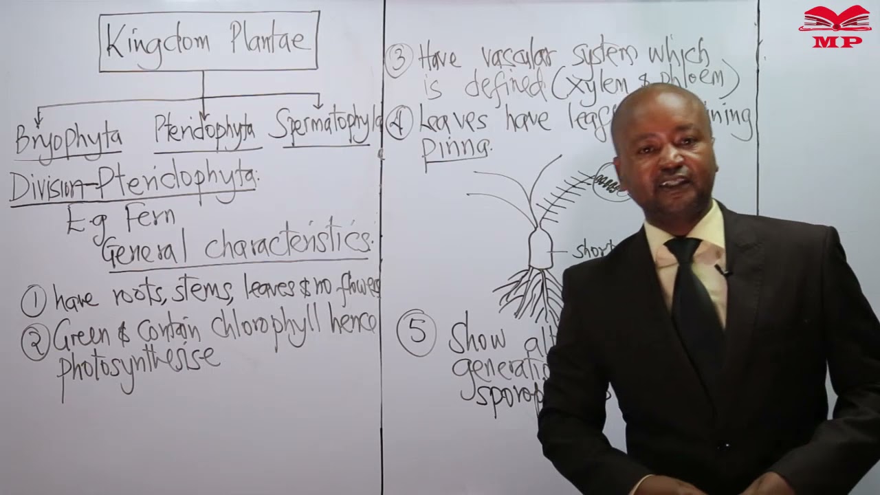KCSE_BIOLOGY_FORM 3_CLASSIFICATION 2 KINGDOM PLANTAE