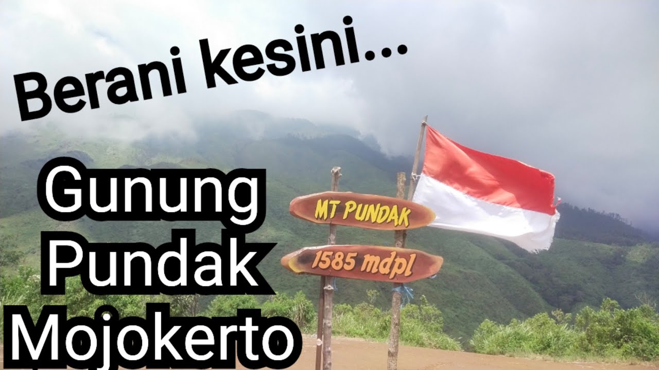 PENDAKIAN KE GUNUNG PUNDAK PACET MOJOKERTO rame rame terbaru