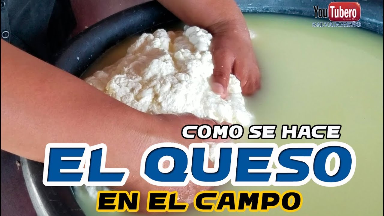 Como se hace el Queso de la leche de Vaca Procesos lacteos   youtubero salvadoreño