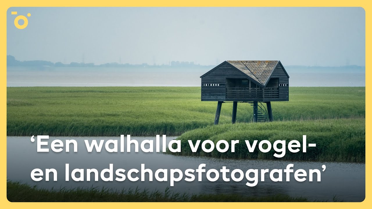 Ontdek VOGELHUT de KIEKKAASTE | Pinned