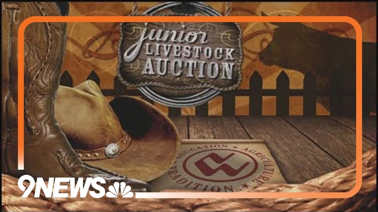 2025 National Western Junior Livestock Auction