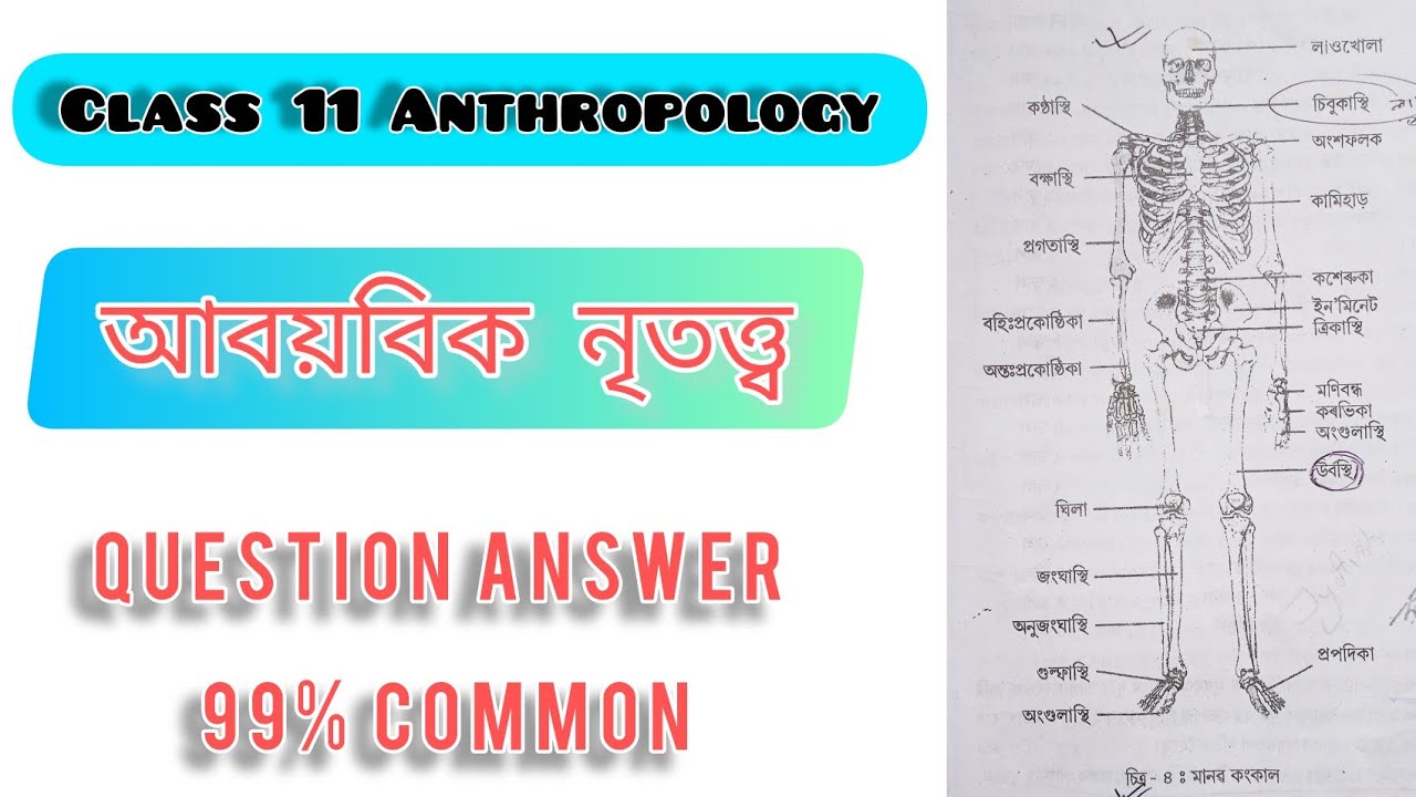 আবয়বিক নৃতত্ত্ব | Class 11 Anthropology lesson 2 