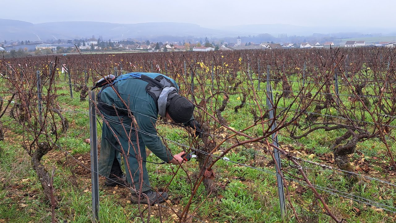 Reportage France 3 Bourgogne - Exosquelette SYMBO