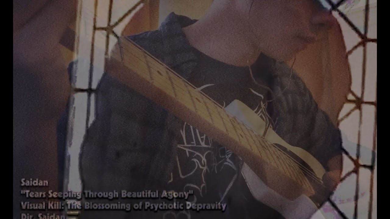 Saidan - Tears Seeping Through Beautiful Agony (Guitar Cover)