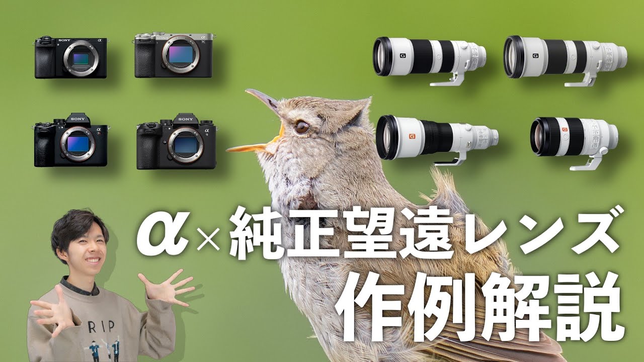 【この組み合わせが最強】ソニーα×純正レンズで撮れた野鳥ベストショットを解説！