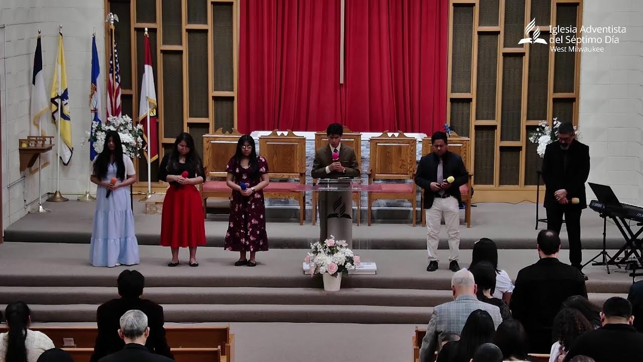 Mi transmisión